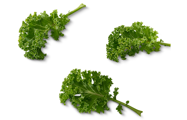 This image has an empty alt attribute; its file name is kale.jpg