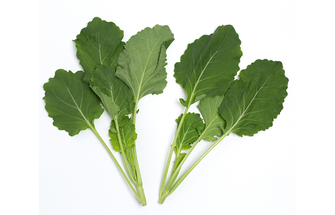 This image has an empty alt attribute; its file name is siberian-kale.jpg